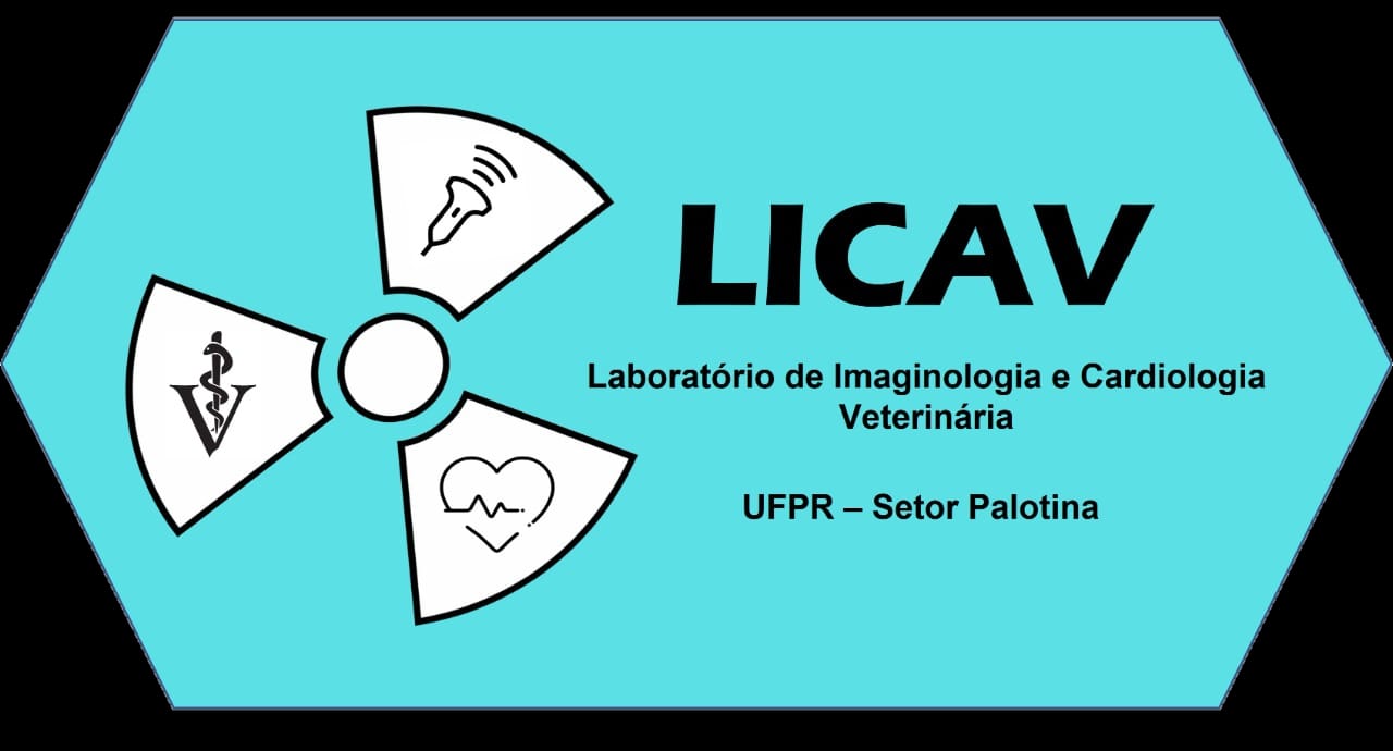 LICaV